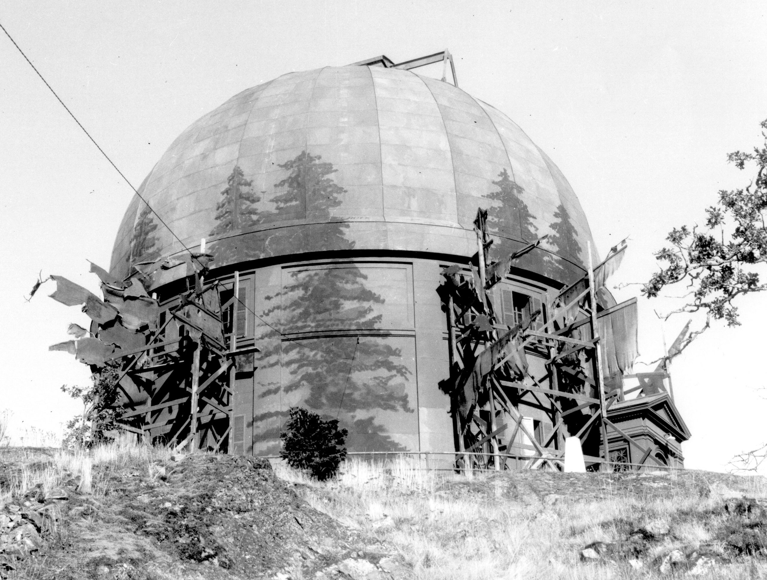 Black and white photograph of telescope dome painted to look like forest.