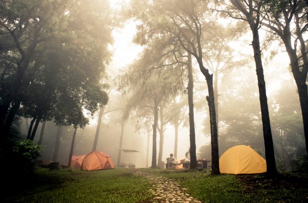 The sun shines on a wooded area of a campsite. There is a yellow tent on the right with a larger orange tent on the left