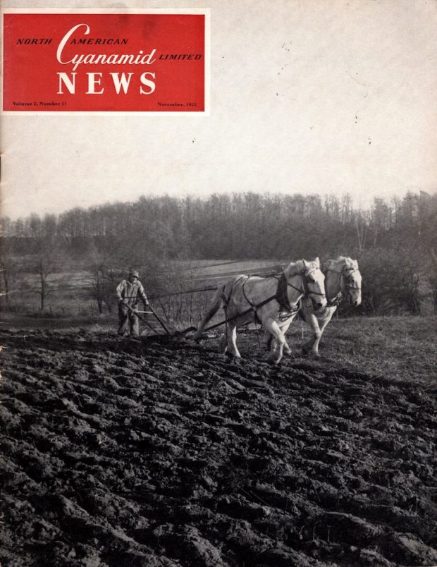 A magazine cover for Cyanamid News featuring a man and a team of two horses ploughing a field