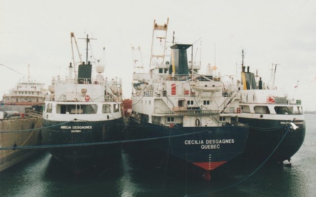 Colour photograph. Three steel ships at dock on a cloudy day. They are tied together with blue cables. Their hulls are navy blue and they all have a yellow stripe painted on their chimneys. Their names are printed on their hulls, from left to right: Amelia Desgagnes, Cecilia Desgagnes and Melissa Desgagnes.