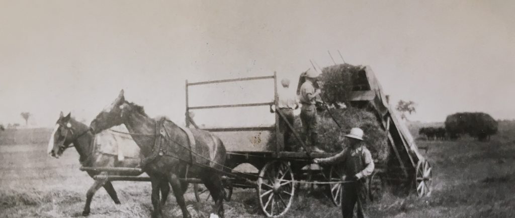 A man holds the reins of two horses pulling a hay wagon. Two men stand on the cart.