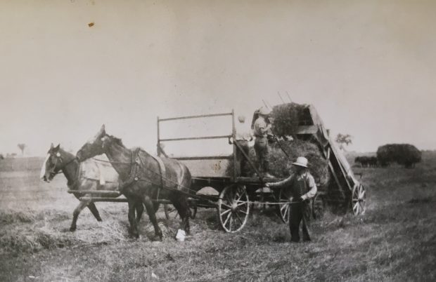 A man holds the reins of two horses pulling a hay wagon. Two men stand on the cart.