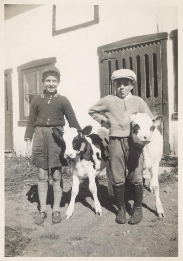 Black and white photo of two children and two calves.