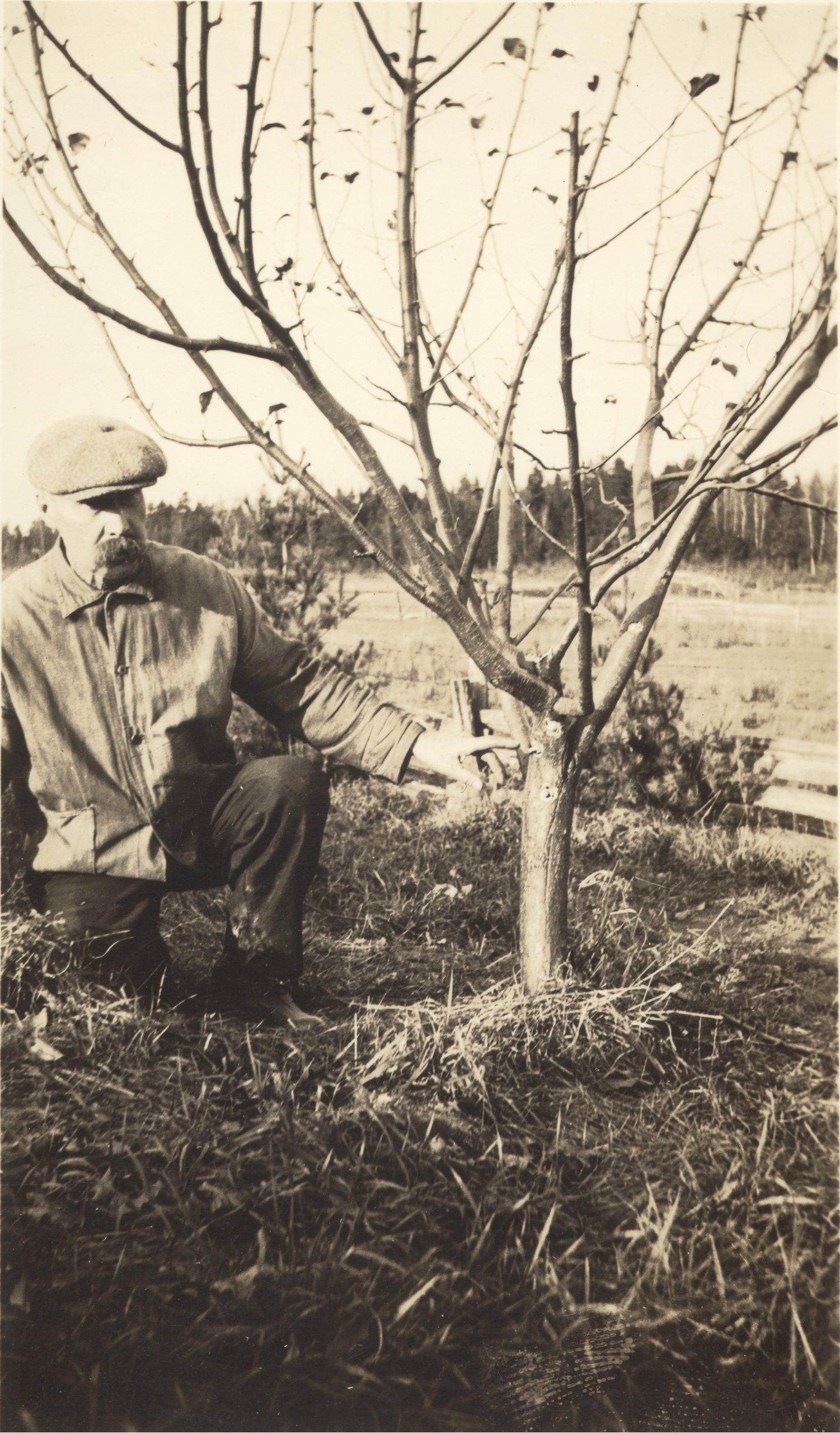 Black and white photo of a man kneeling by a tree.