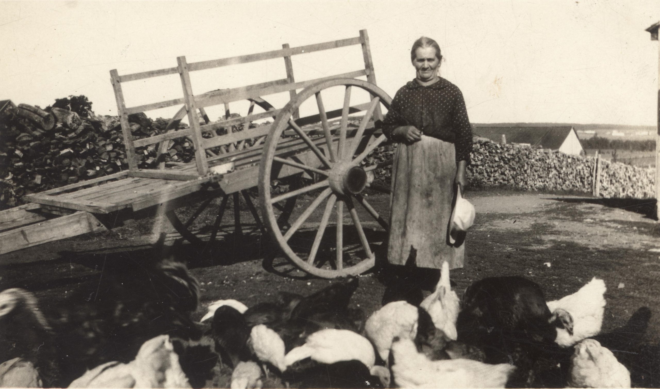 Black and white photo of a lady with turkeys next to a cart.