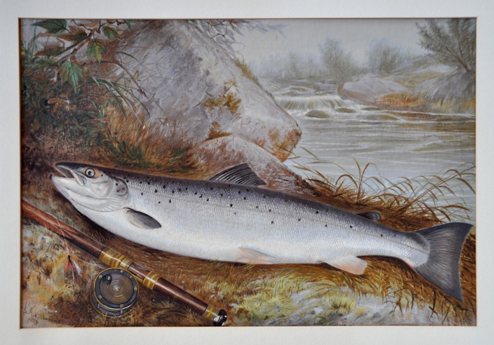 Salmon: A Fish, the Earth, and the History of Their Common Fate – Kitchen  Arts & Letters