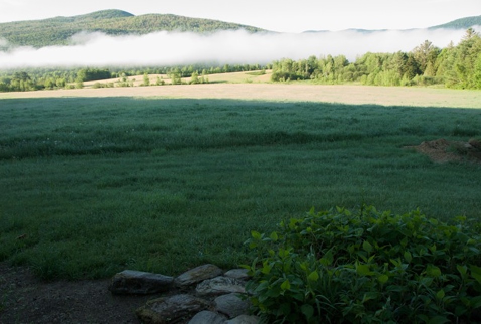 A pile of flat stones in a field