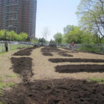 A garden bed being prepared with long rows of fresh soil. Trees and a wire fence are visible, with a few people working in the distance.