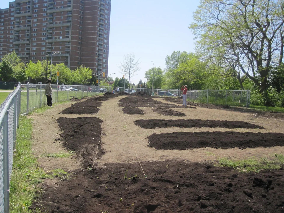 A garden bed being prepared with long rows of fresh soil. Trees and a wire fence are visible, with a few people working in the distance.