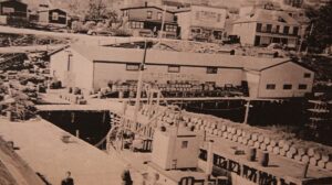 Photo sépia d’un front de mer. Le grand bâtiment au centre indique T. Basha & Son. Il y a deux petits bâtiments sur la gauche et trois plus grands sur la droite à l’arrière-plan. Le bâtiment doté d’une fausse façade à l’arrière-plan porte également l’inscription T. Basha & Son. Au premier plan, il y a deux grands quais. Sur le quai de gauche, il y a quatre personnes. Sur le quai de droite, plus de cinquante barils sont alignés. Des barils sont aussi empilés et alignés devant le grand bâtiment situé en front de mer.