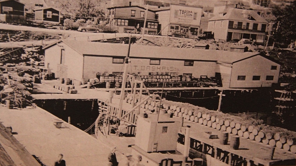 Sepia waterfront. Large building in the centre says T. Basha & Son. There are two small buildings on the left, and three larger ones on the right in the background. The building with a false front in the background also says T. Basha & Son. In the foreground there are two large wharfs. The wharf on the left has four people on it. The wharf on the right has over fifty barrels lined up. There are also barrels stacked and lined up in front of the large building on the waterfront.