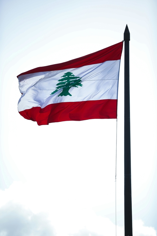 Colour image of red and white striped flag. There are smaller stripes of red on top and bottom with a larger stripe of white in the centre with a green tree in the middle. The flag is blowing in the wind and is attached to a dark flagpole.