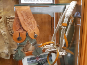 Display of spurs and lasso
