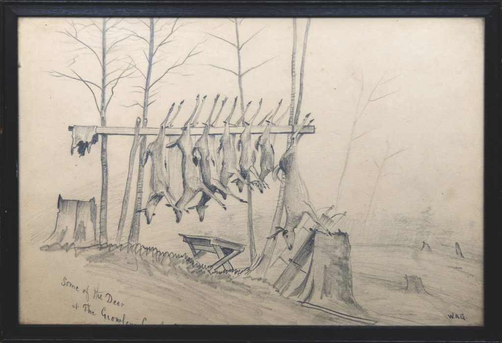 Seven deer hanging on a horizontal pole with stumps in the foreground.