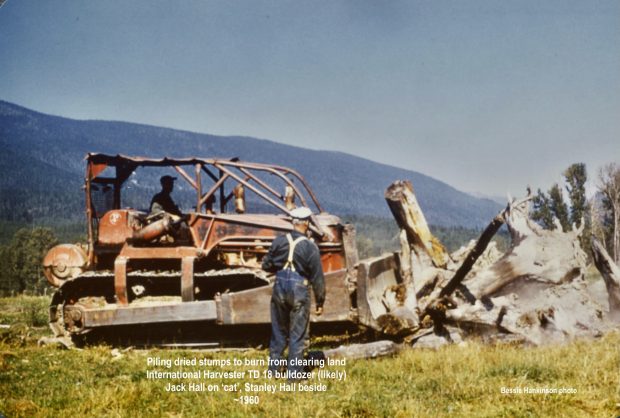 A colourful photo of a man in a bulldozer moving big trees stumps. Another man stands in front of the bulldozer.