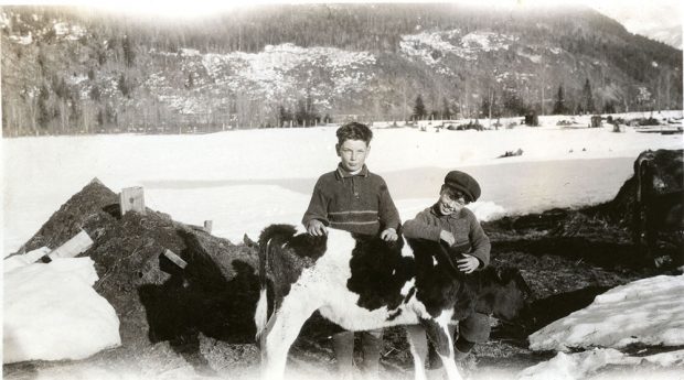 A black-and-white photograph of two boys and a calf. The boy on the right is wearing a cap, and leaning against the cow. Dirt piles and a snow-covered field are in the background.