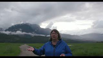 Cathy English - a white woman with short grey hair, wearing a blue zip-up sweater. She is standing on a dirt path. There is green grass, a mountain, and grey sky behind her.