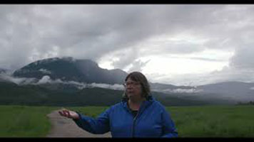 Cathy English - a white woman with short grey hair, wearing a blue zip-up sweater. She is standing on a dirt path and gesturing to her right. There is green grass, a mountain, and grey sky behind her.