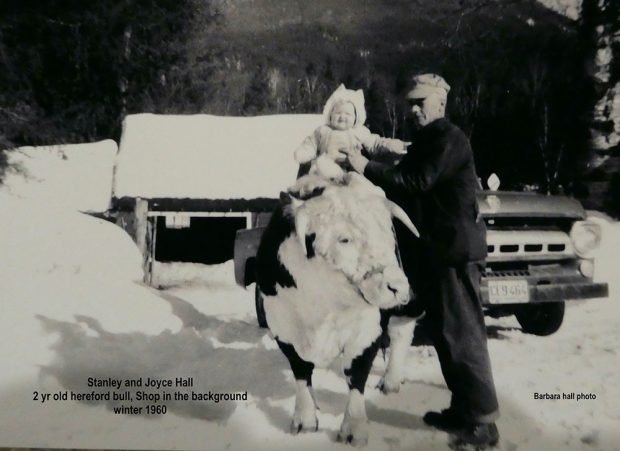 A black-and-white photograph of a man holding a small child on top of a multi-coloured bull on a snowy day. Part of a truck and a building can be seen in the background.