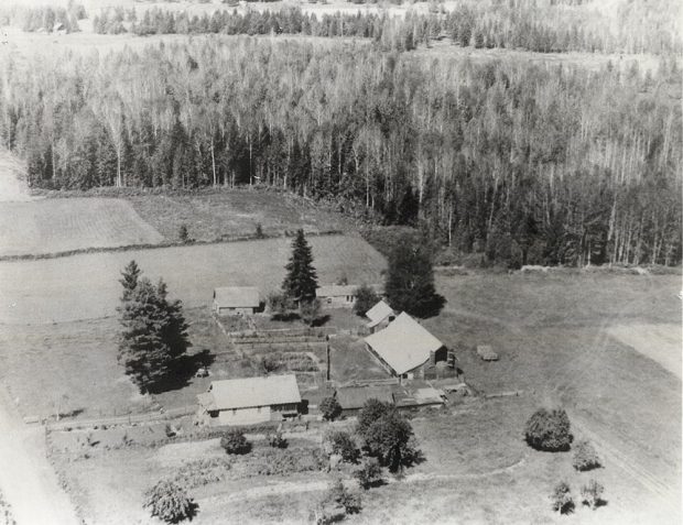 A black-and-white aerial photograph of a farm, showing a farmhouse, barn, and outbuildings. There are conifer trees around the property, and a large stand of trees in the background.