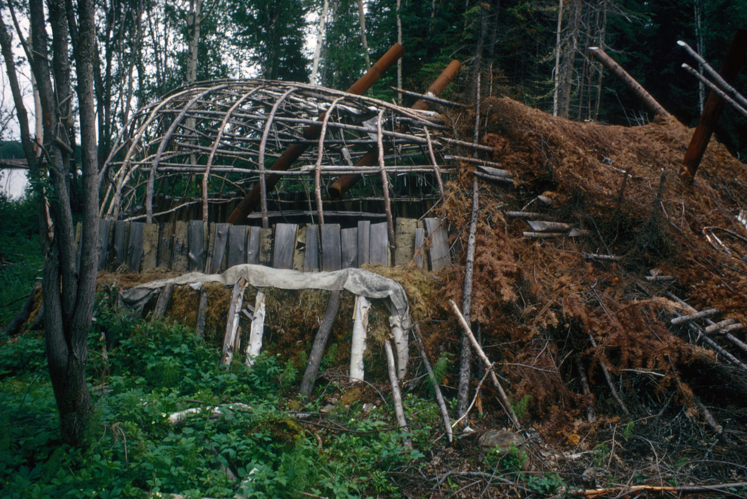 Color photograph of the structure of a building lying in the forest.