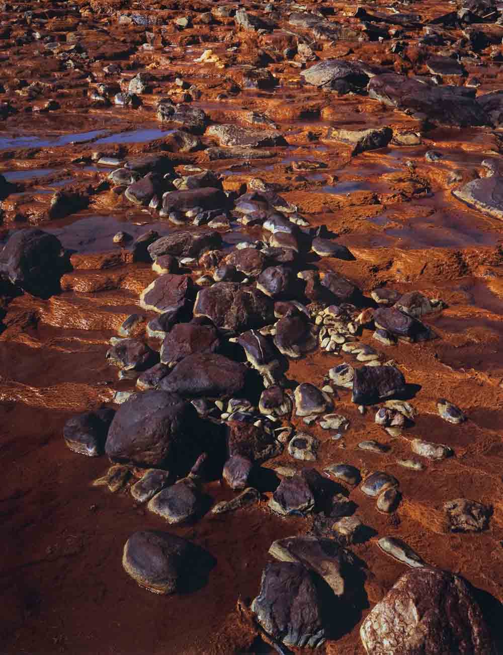 Art picture of a rust-coloured ground with violet rocks and little puddles of water.