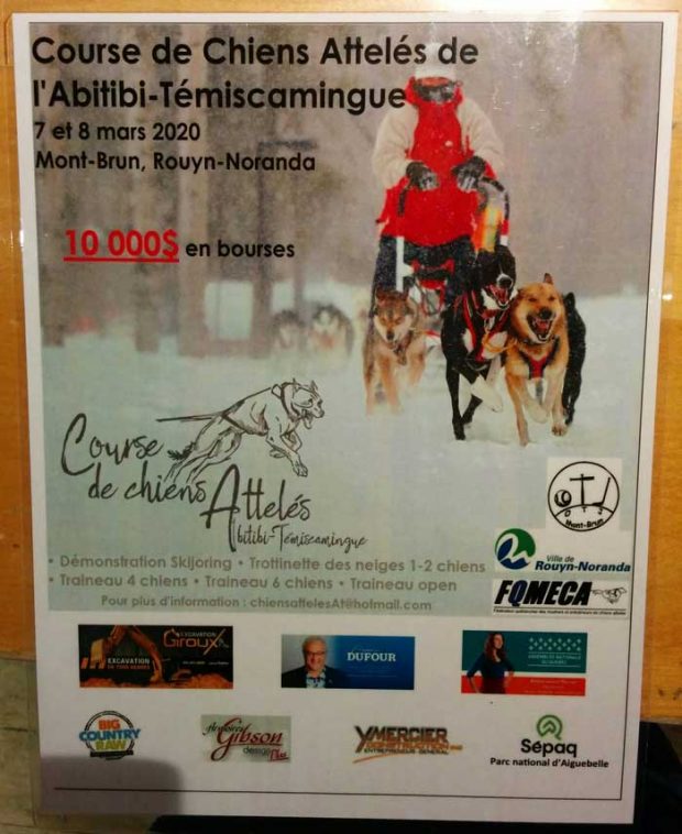 Advertising poster with a picture showing dogs harnessed to sleds during winter.